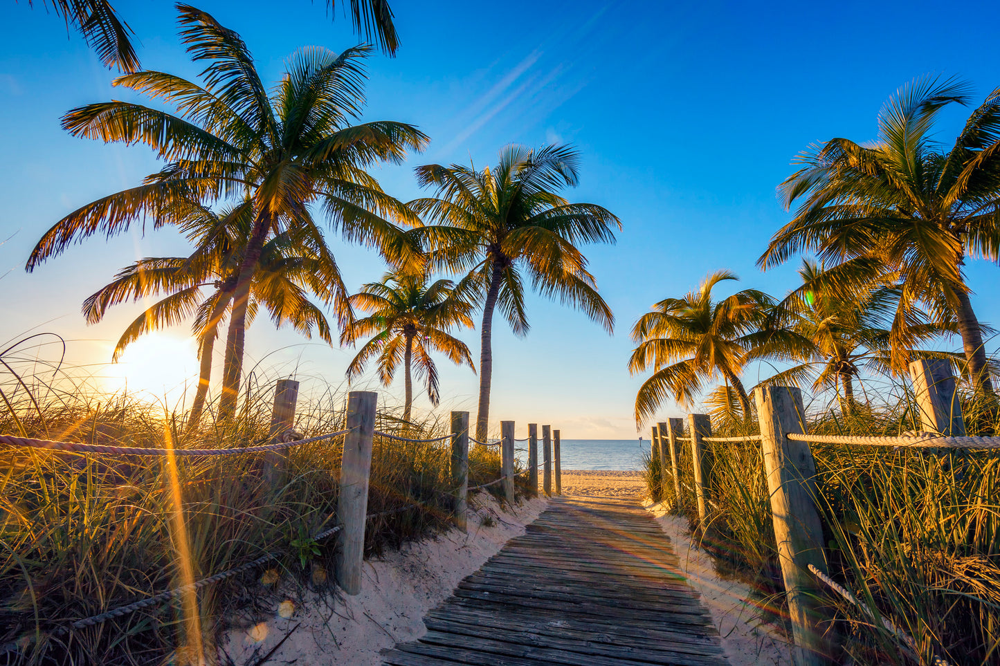 Wooden Path to Sea & Palm Trees Photograph Home Decor Premium Quality Poster Print Choose Your Sizes