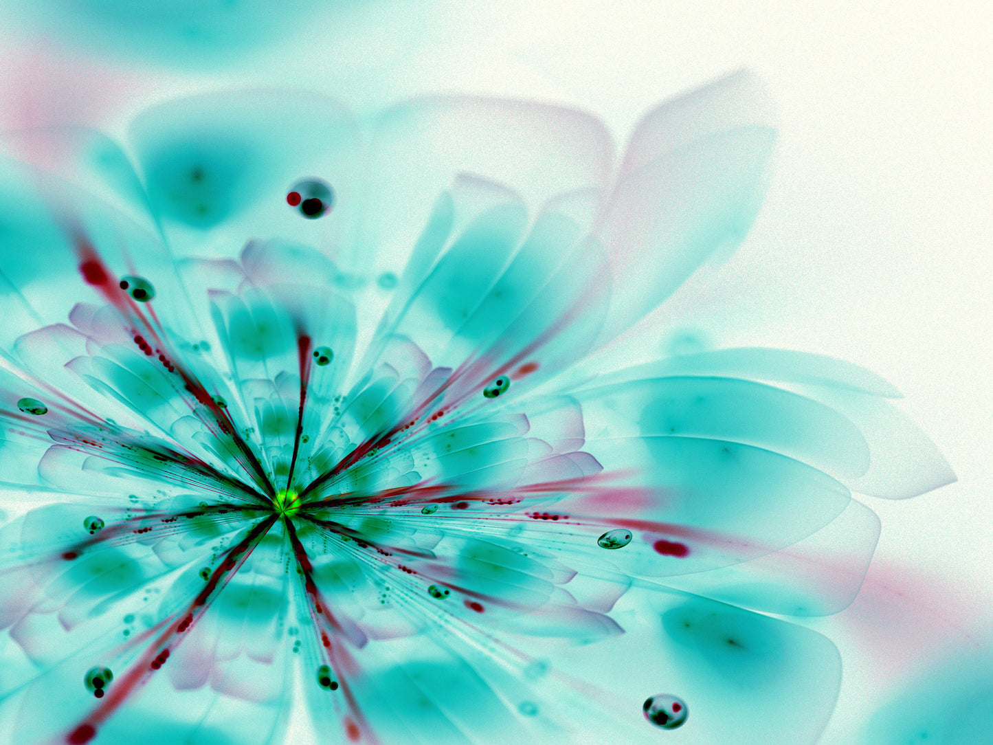 Blue Flowers Closeup Photograph Home Decor Premium Quality Poster Print Choose Your Sizes