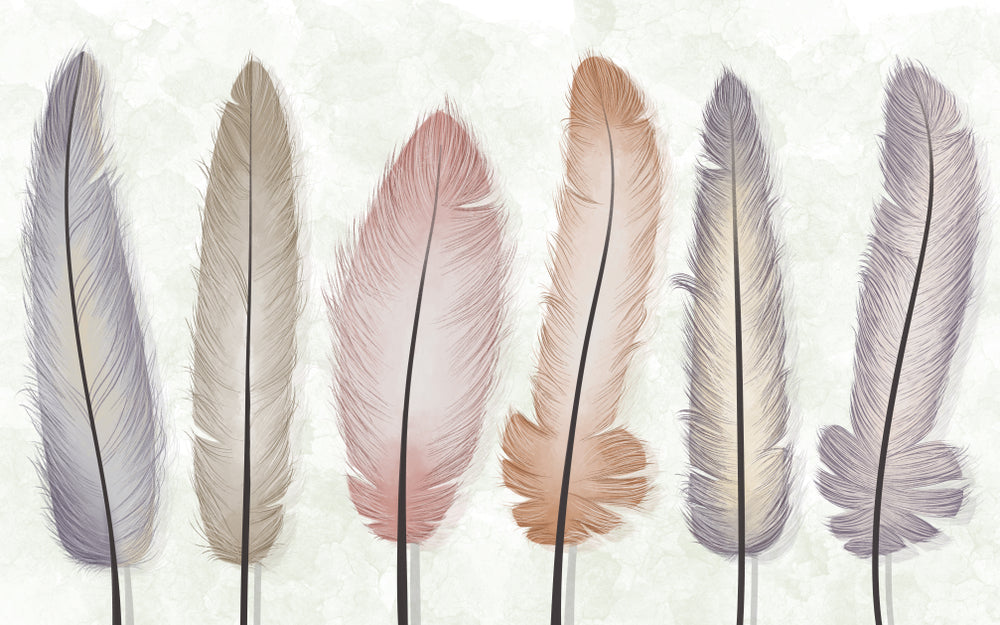 Colorful Feathers Watercolor Painting Home Decor Premium Quality Poster Print Choose Your Sizes