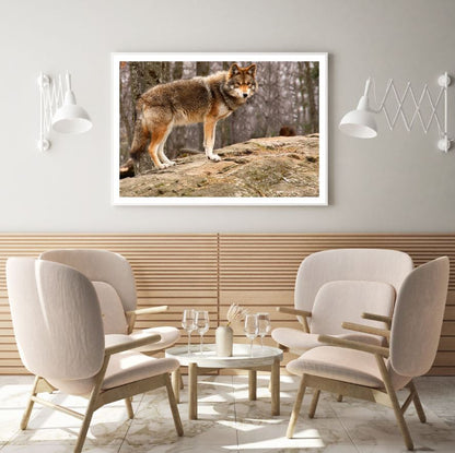 Wolf in Forest Photograph Home Decor Premium Quality Poster Print Choose Your Sizes