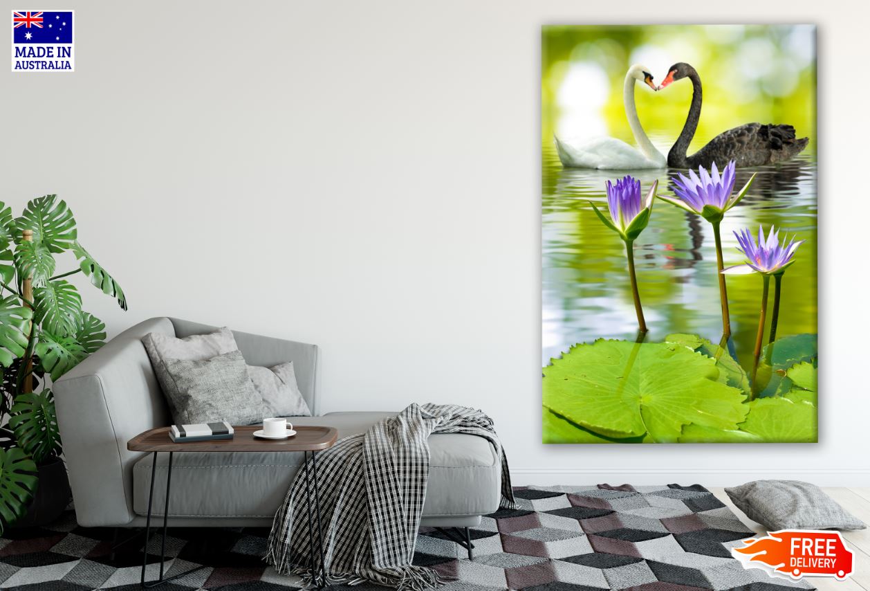 B&W Swans on Lake Photograph Print 100% Australian Made