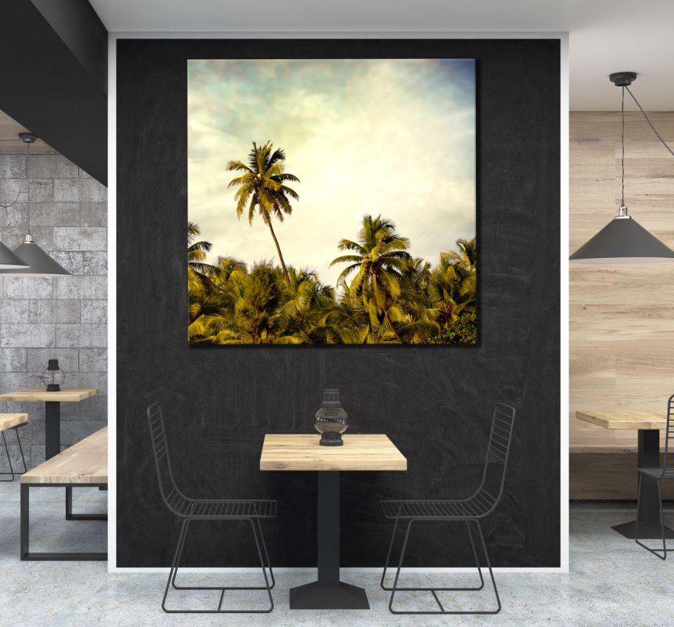 Square Canvas Palm Trees Photograph High Quality Print 100% Australian Made