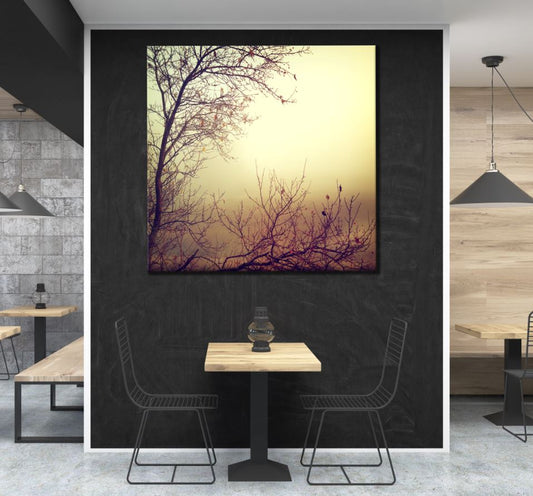 Square Canvas Misty Forest Photograph High Quality Print 100% Australian Made