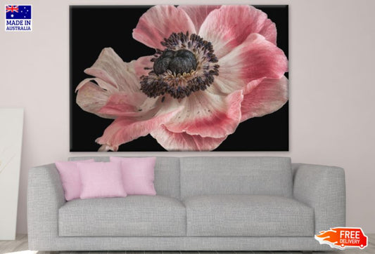 Blossom Flowers Closeup Photograph Print 100% Australian Made