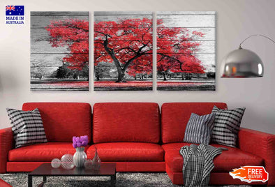 3 Set of Red Autumn Tree B&W View Photograph High Quality Print 100% Australian Made Wall Canvas Ready to Hang
