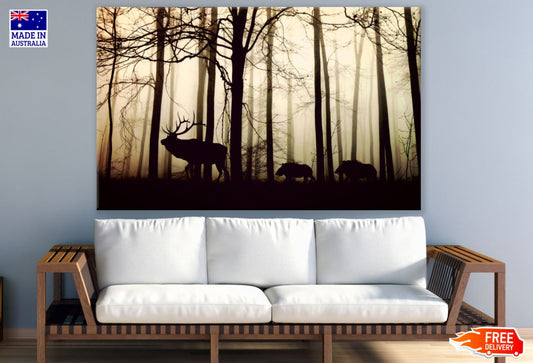 Deers in Forest Photograph Print 100% Australian Made