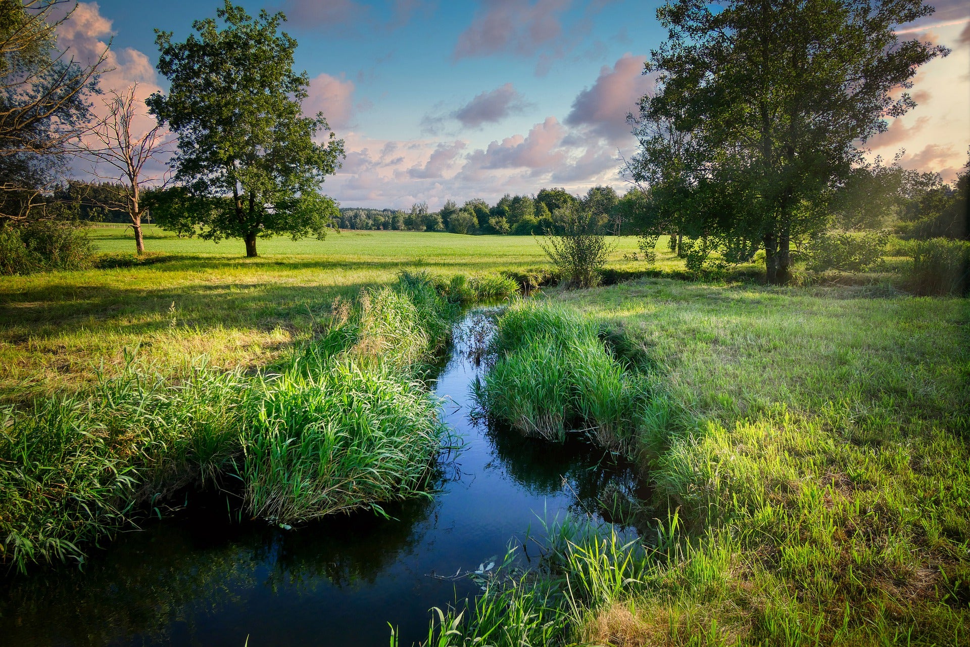 Stunning Green Meadow with Small Water holes Photograph Print 100% Australian Made