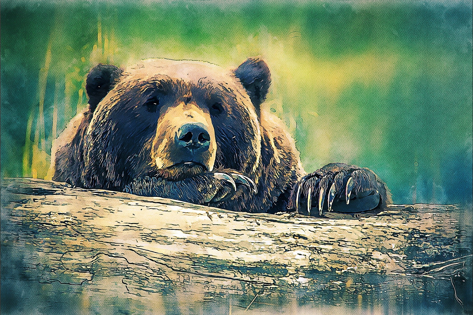 Bear Looking over a Tree trunk Painting Print 100% Australian Made