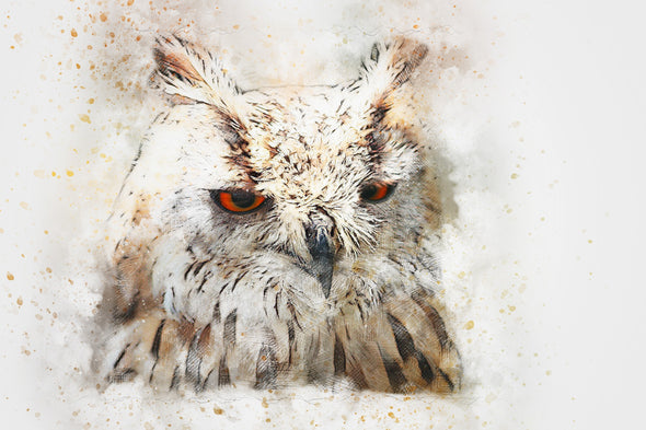 Owl Face Portrait Painting Print 100% Australian Made