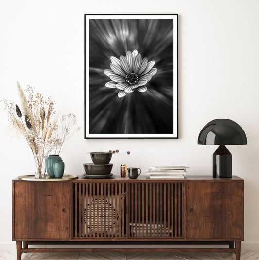 Flower Closeup B&W Photograph Home Decor Premium Quality Poster Print Choose Your Sizes