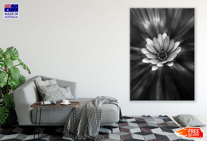 Flower Closeup B&W Photograph Print 100% Australian Made