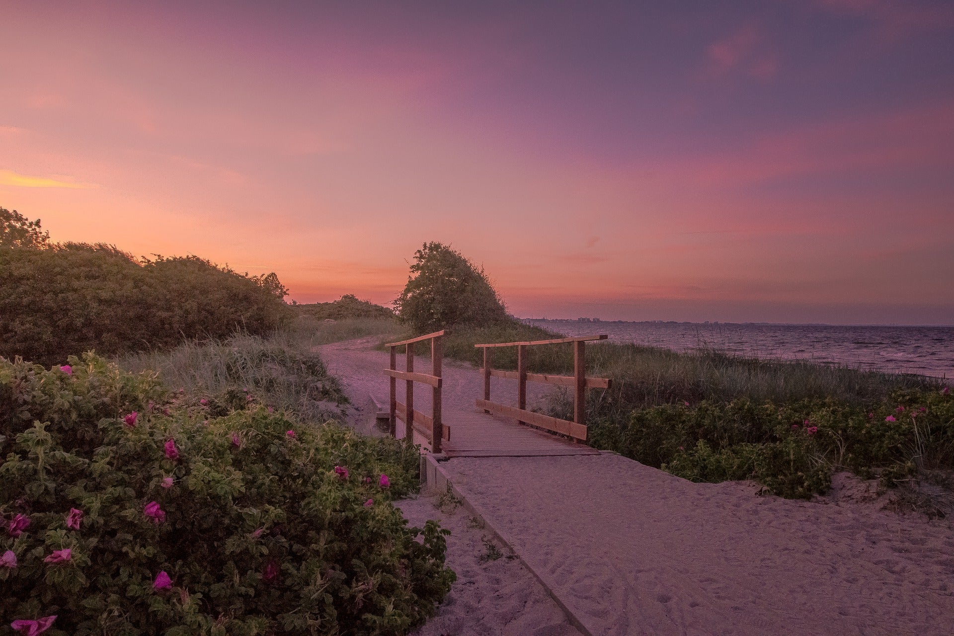 Scenic Beach with Wooden Bridge & Pink Sky Photograph Print 100% Australian Made