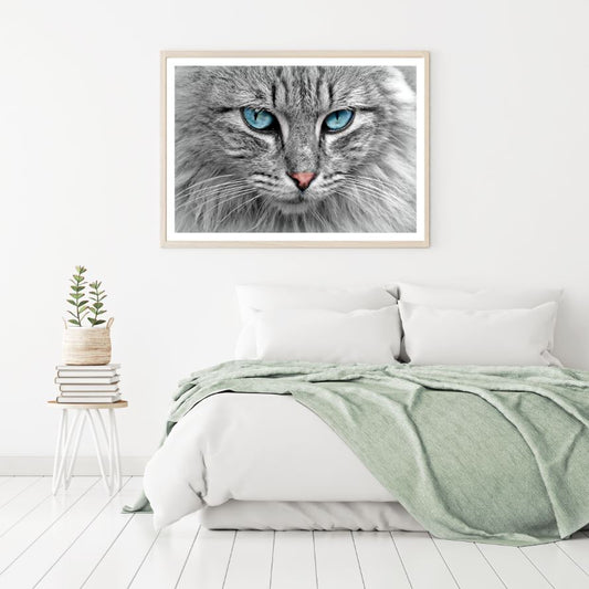 Cat Portrait Closeup Photograph Home Decor Premium Quality Poster Print Choose Your Sizes