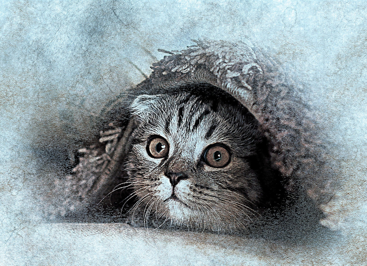 Cat Under a Carpet Painting Print 100% Australian Made