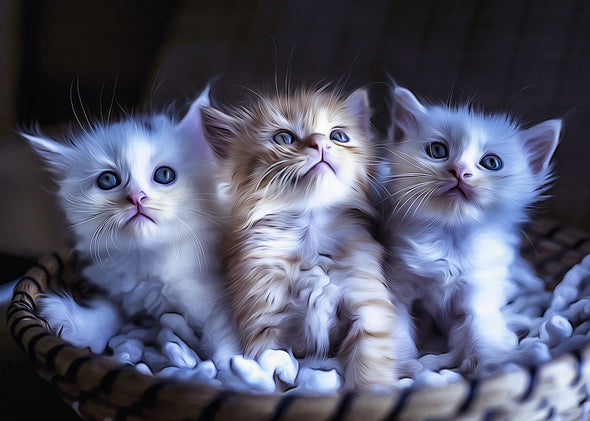 Cute Fluffy Kittens In a Basket Print 100% Australian Made