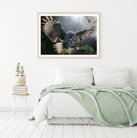 Flying Owl Digital Painting Home Decor Premium Quality Poster Print Choose Your Sizes