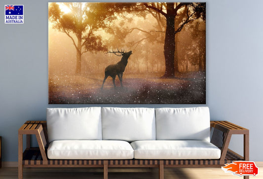 Deer in Forest Scenery Photograph Print 100% Australian Made