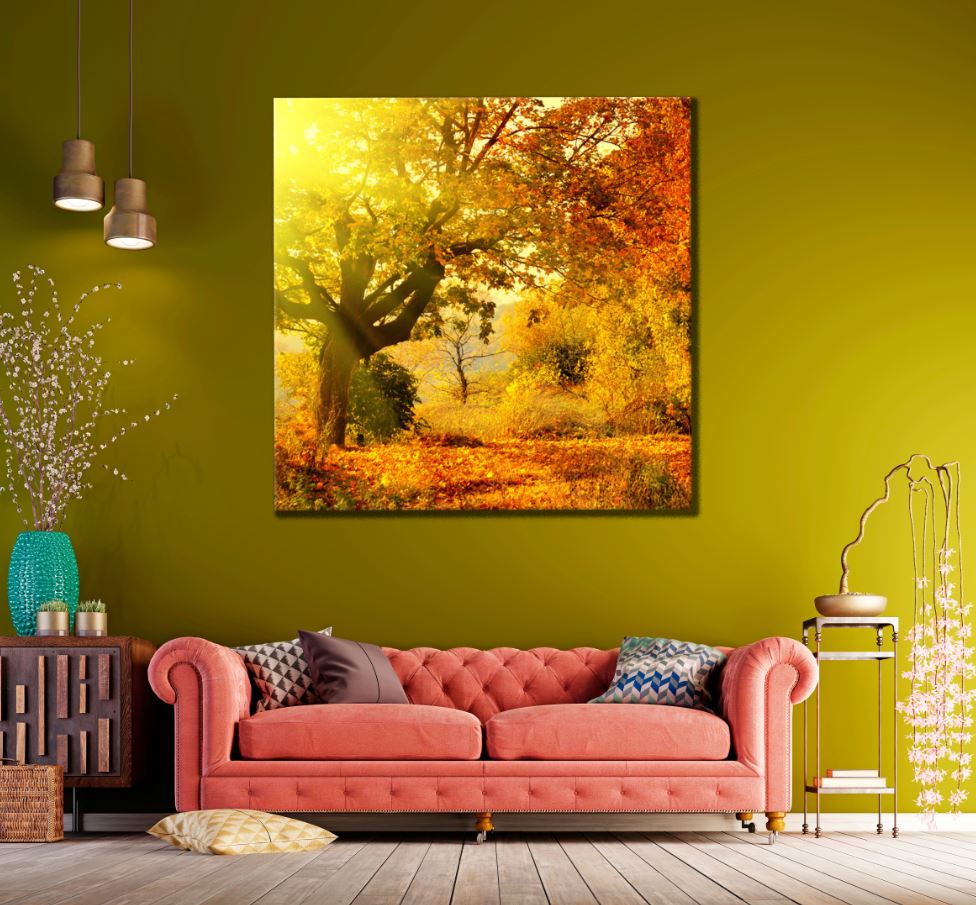 Square Canvas Sunrays & Autumn Trees View High Quality Print 100% Australian Made
