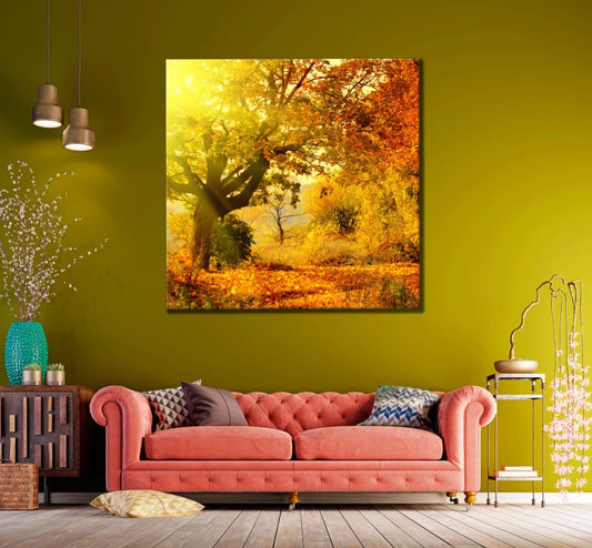 Square Canvas Sunrays & Autumn Trees View High Quality Print 100% Australian Made