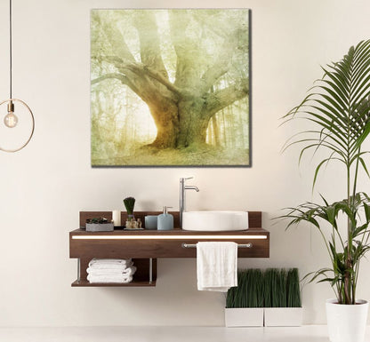 Square Canvas Tree in Misty Forest Closeup High Quality Print 100% Australian Made
