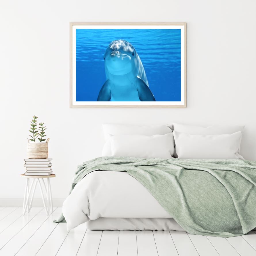 Dolphin Closeup Photograph Home Decor Premium Quality Poster Print Choose Your Sizes