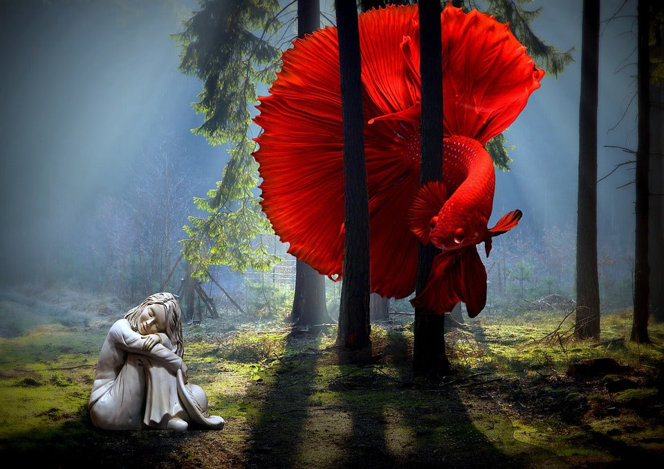 Fish & Girl in Forest Photograph Home Decor Premium Quality Poster Print Choose Your Sizes