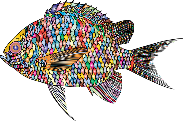 Colourful Fish Art Print 100% Australian Made