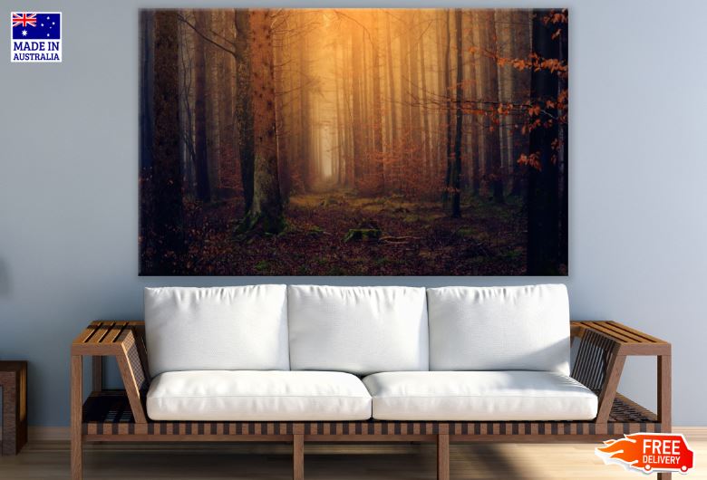 Misty Autumn Forest Photograph Print 100% Australian Made