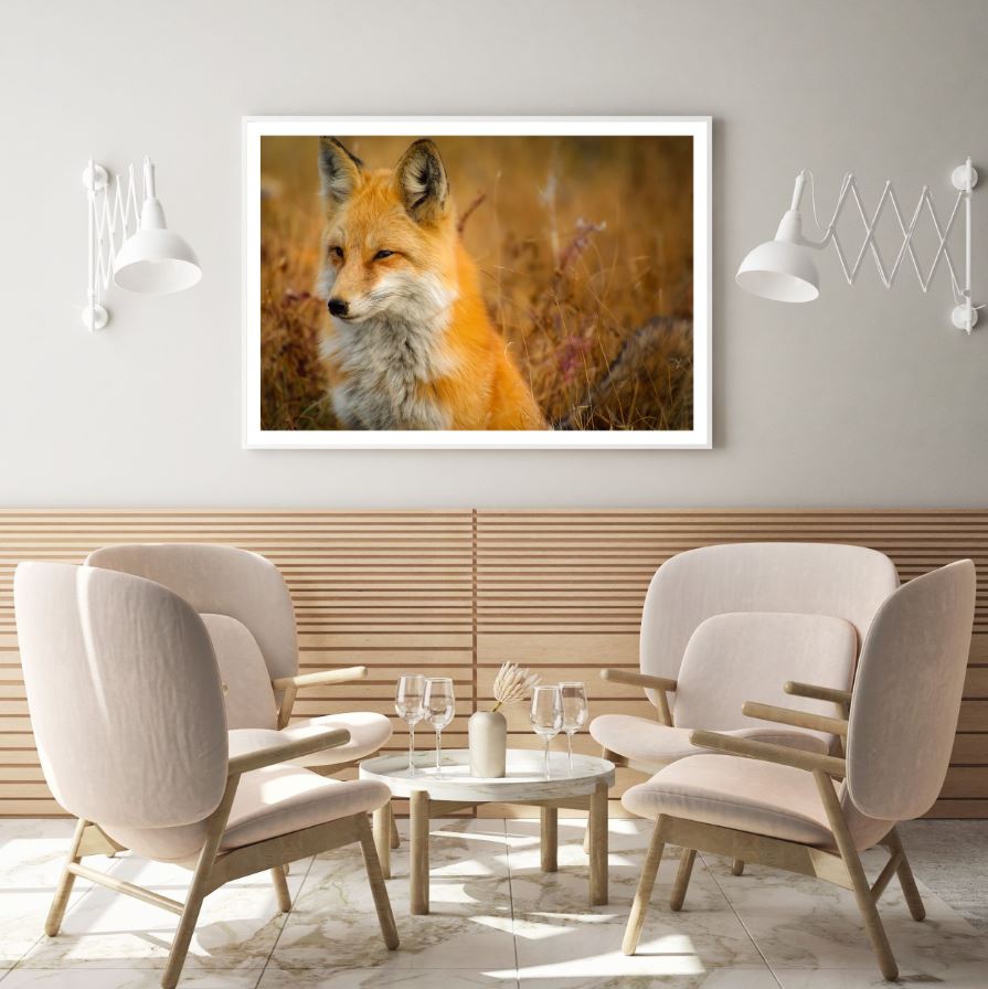 Fox Portrait Closeup Photograph Home Decor Premium Quality Poster ...