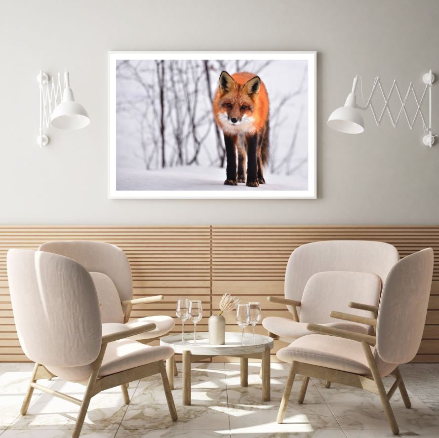 Fox on Snow Closeup Photograph Home Decor Premium Quality Poster Print Choose Your Sizes