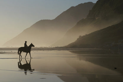 Boy on Horse Near Misty Lake View Home Decor Premium Quality Poster Print Choose Your Sizes