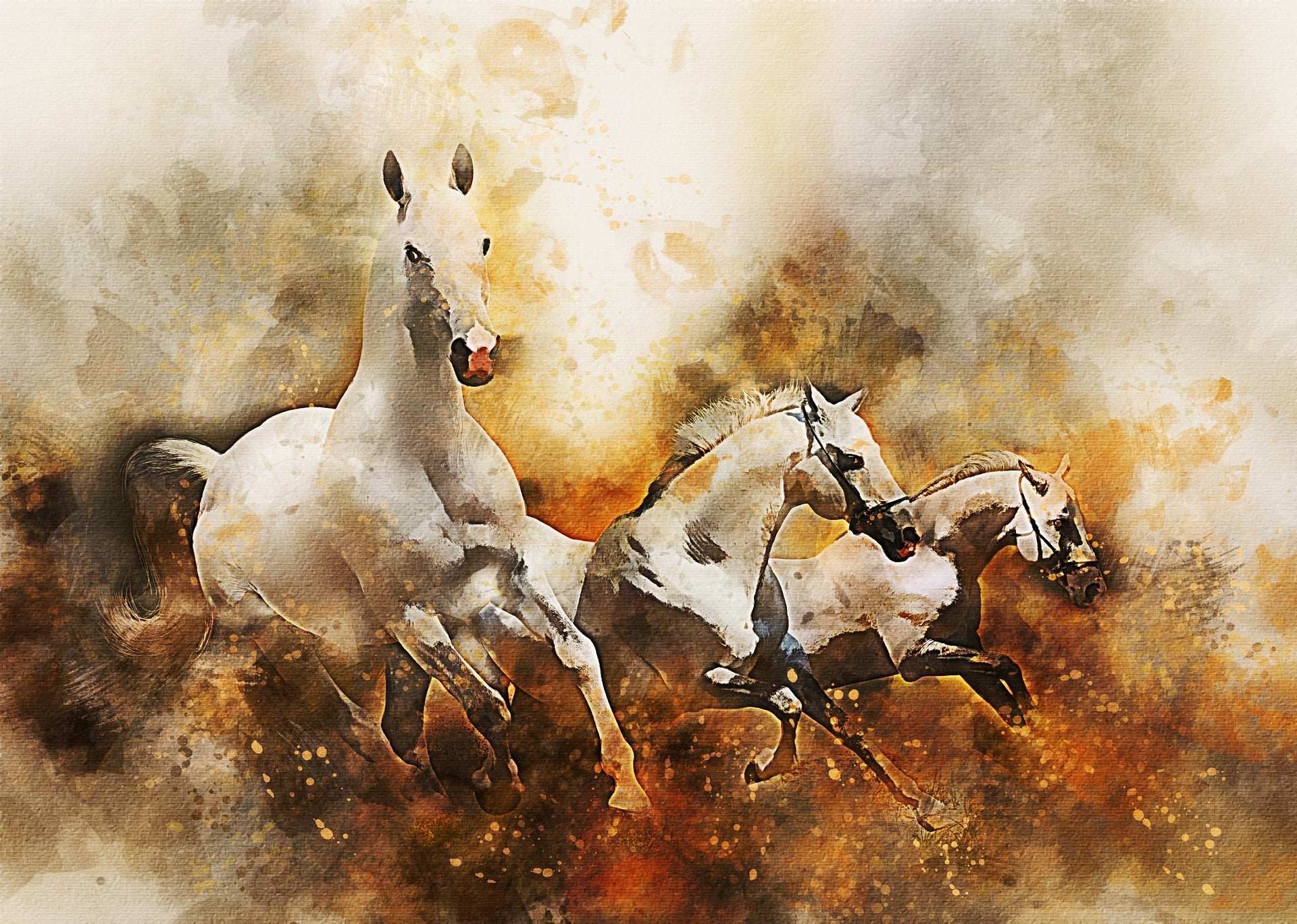 Running Horses Watercolour Painting Print 100% Australian Made