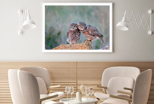 Owls on a Rock Photograph Home Decor Premium Quality Poster Print Choose Your Sizes