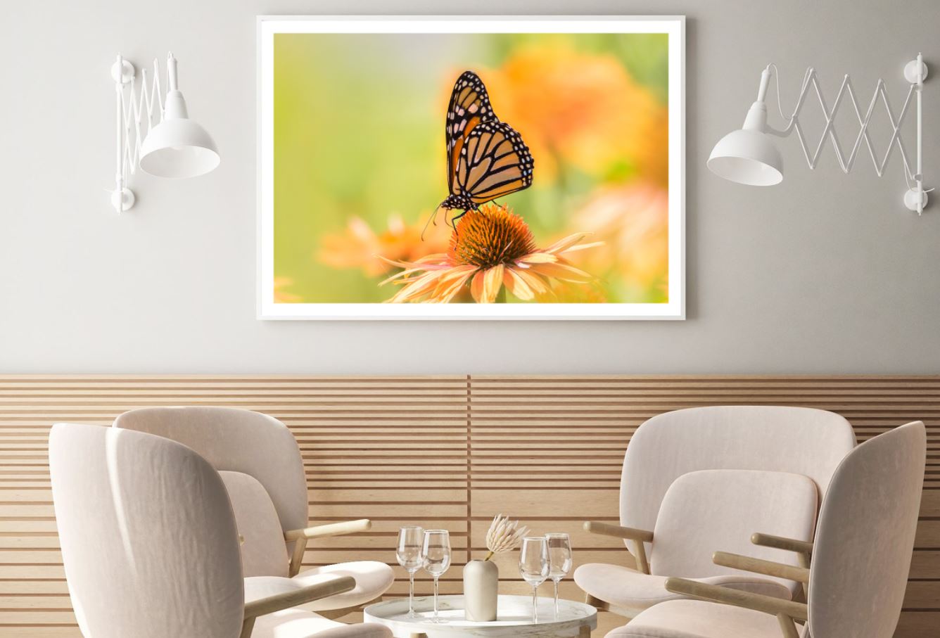 Butterfly On a Flower Photograph Home Decor Premium Quality Poster Print Choose Your Sizes