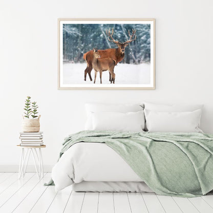 Deer in Snow Covered Forest View Home Decor Premium Quality Poster Print Choose Your Sizes