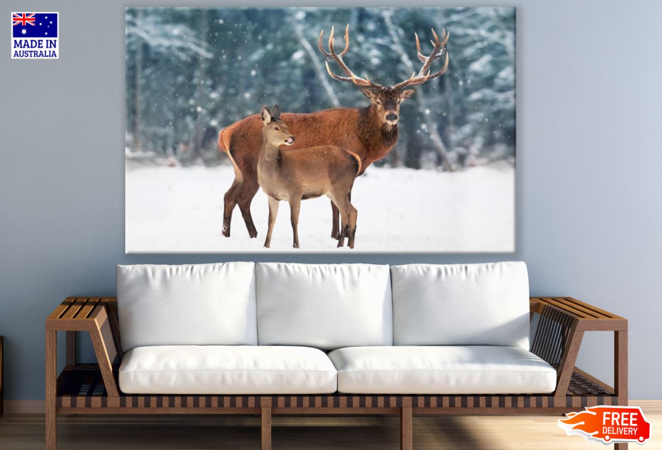 Deer in Snow Covered Forest View Print 100% Australian Made