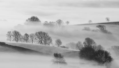 Nature B&W Painting Print 100% Australian Made