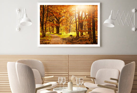 Autumn Forest Scenery Photograph Home Decor Premium Quality Poster Print Choose Your Sizes