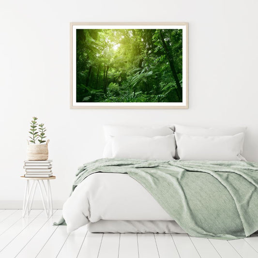 Deep Forest Scenery Photograph Home Decor Premium Quality Poster Print Choose Your Sizes