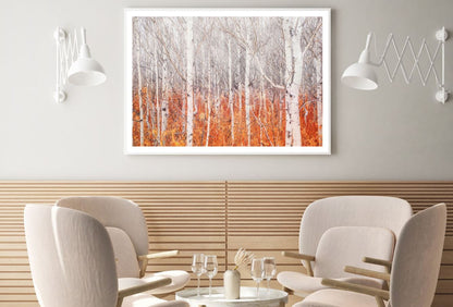 White Tree Forest Photograph Home Decor Premium Quality Poster Print Choose Your Sizes