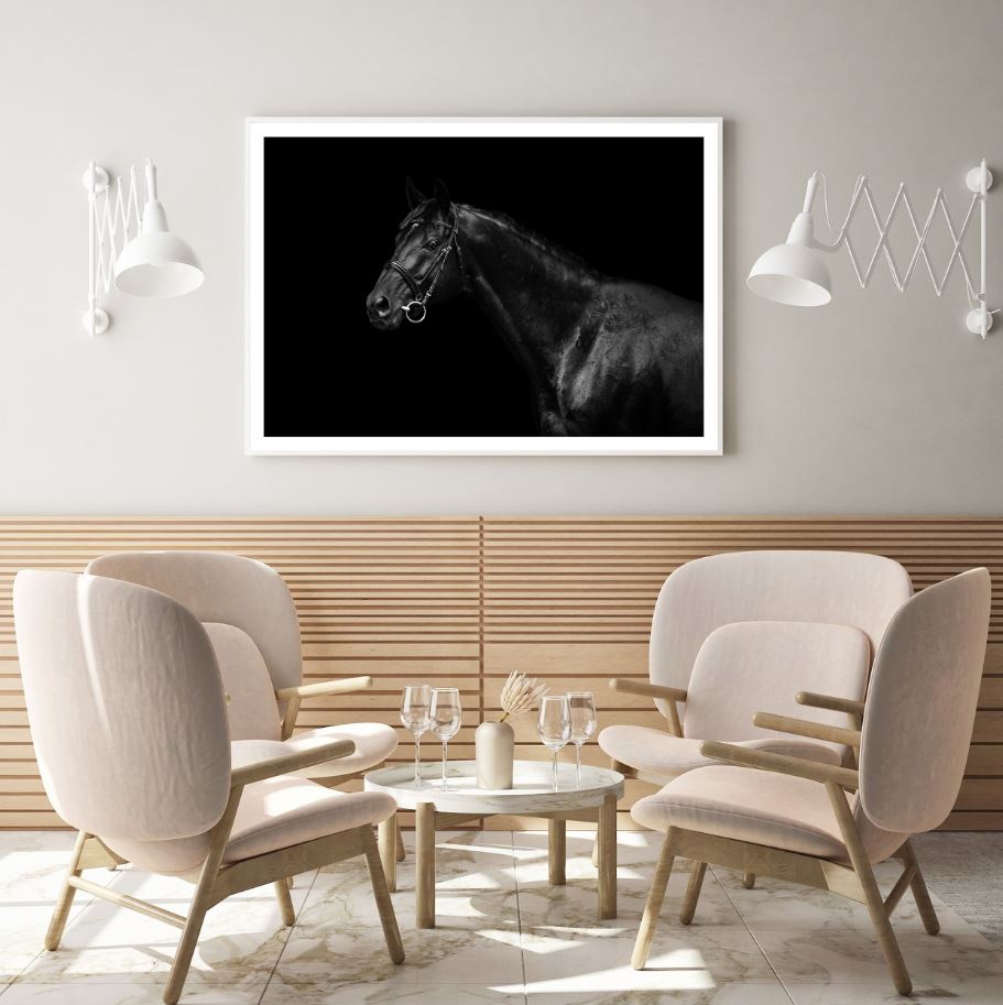 Black Horse Portrait Photograph Home Decor Premium Quality Poster Print Choose Your Sizes