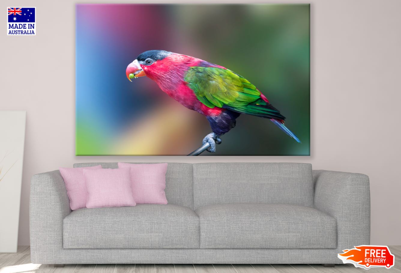 Colorful Bird Closeup Photograph Print 100% Australian Made