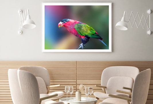 Colorful Bird Closeup Photograph Home Decor Premium Quality Poster Print Choose Your Sizes