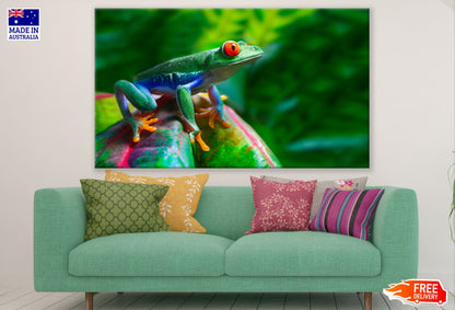 Frog Closeup Photograph Print 100% Australian Made