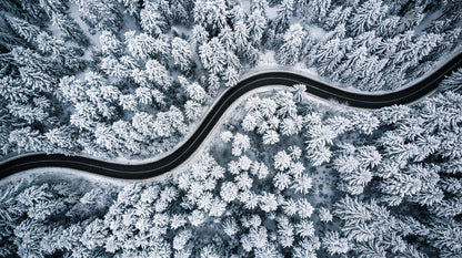 Road in Pine Tree Forest Aerial Home Decor Premium Quality Poster Print Choose Your Sizes