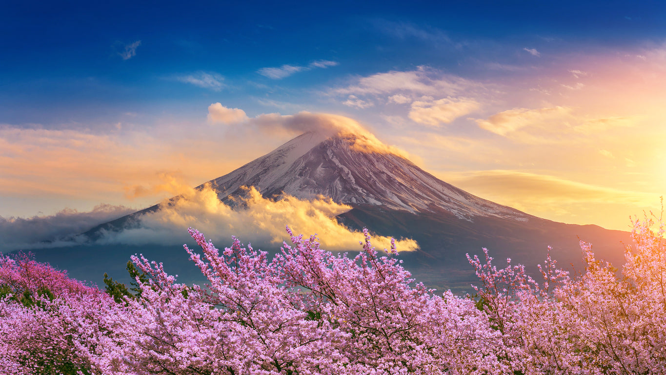 Blossom Trees & Fuji Mountain Home Decor Premium Quality Poster Print Choose Your Sizes