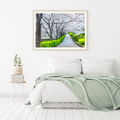 Blossom Trees Along the Road View Home Decor Premium Quality Poster Print Choose Your Sizes