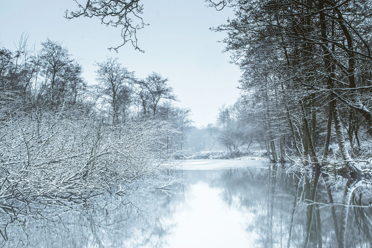 Snow Covered Forest & River View Print 100% Australian Made