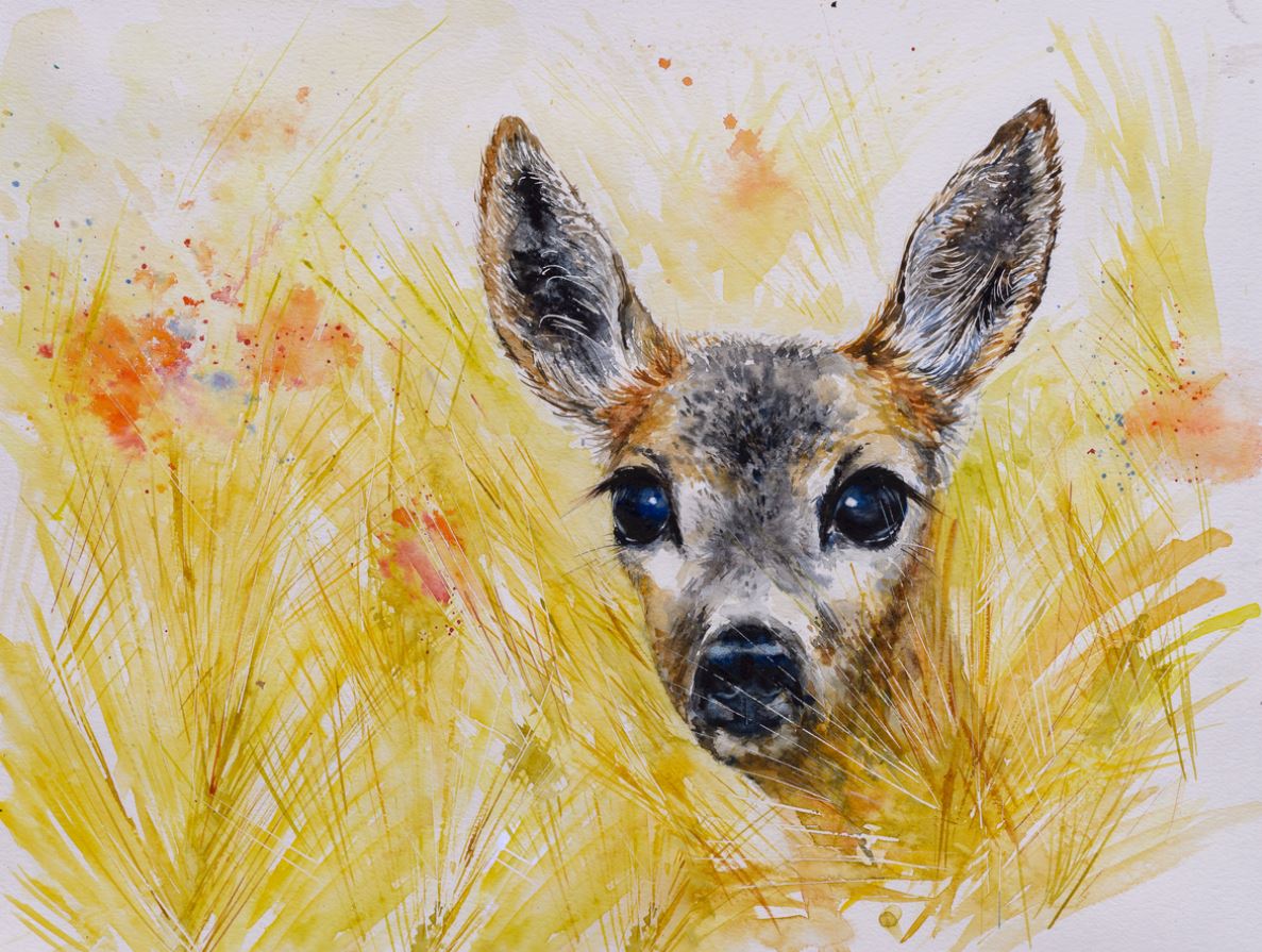 Deer Portrait Watercolor Painting Print 100% Australian Made