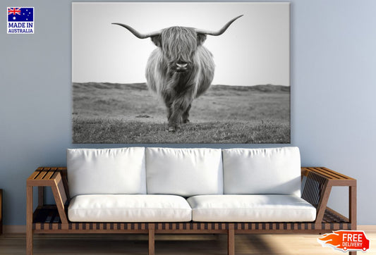 Highland Cow Portrait B&W View Print 100% Australian Made